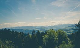 梦到自己在路边拉屎