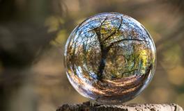 梦到小孩拉屎在我手上