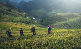 梦到地震逃生成功