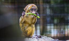 梦见下坡是什么意思