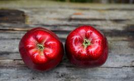 梦见在饭店吃饭