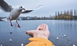 梦见亲戚来家里吃饭