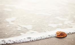 女人梦见鱼跳起来