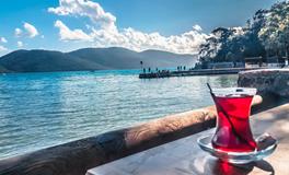 梦见做鱼是什么意思