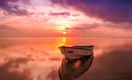 梦见鱼吃了另一条鱼