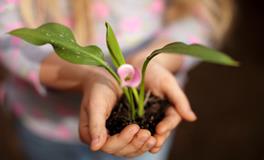 属狗的人在2019年穿什么颜色旺财旺运