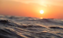 女人梦见抓了两条鱼