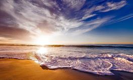 梦见鸡和鱼有什么预兆