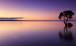 梦到别人抓到很大的鱼