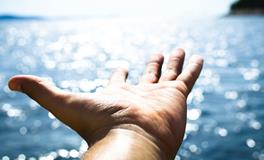 孕妇梦见乌龟是什么意思