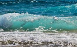 梦见别人送乌龟给自己