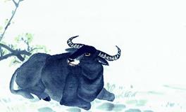 属牛2020年运势及运程 属牛的人2020年全年运势