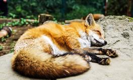 梦见海水是什么意思