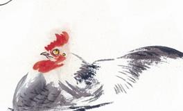 1945年属鸡的人2020年运势大全及破解