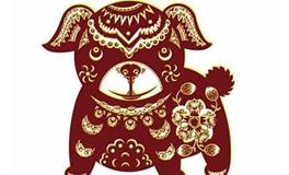 1958年属狗的人2020年运势大全及破解