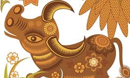 1973年属牛的人2020年运势大全及破解