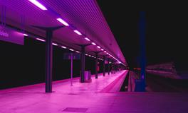 做梦梦到怀孕的兔子