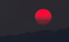 做梦梦到怀孕五个月