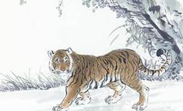 1998年属虎的人2020年运势大全及破解