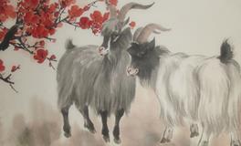 2003年属羊的人2020年运势大全及破解