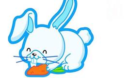 2011年属兔的人2020年运势大全及破解