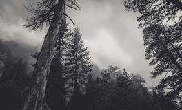 梦到自行车丢了