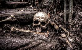 梦到骑自行车带人