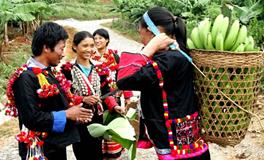 德昂族的资料，关于德昂族的资料