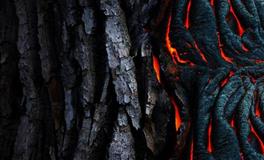 孕妇做梦梦到新坟