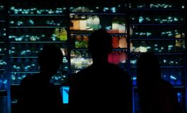 孕妇做梦梦到两条大鱼