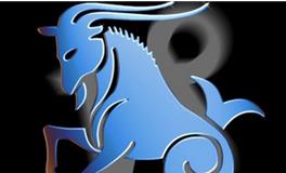 摩羯座的专属职业