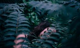 梦见山上发洪水