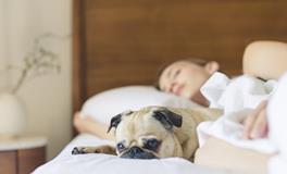 梦见点香是什么意思