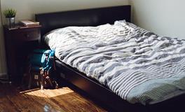 梦见捡鸡蛋预示着什么