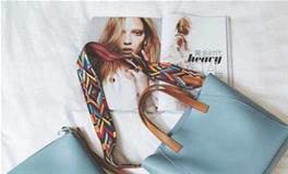 巨蟹座的专属公主包包