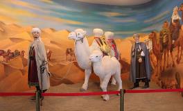 撒拉族语言与礼仪文化介绍