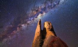 梦见有虫子往身体里钻