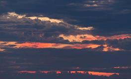 梦见地上好多虫子