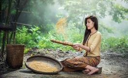 农历五月出生属马人命好吗