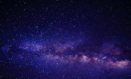 梦到虫子掉身上