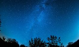 孕妇梦见鳄鱼预示着什么