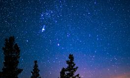 梦到厕所里有死人