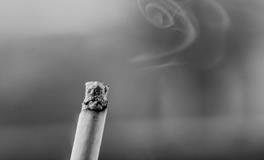 做梦梦到打死好多蛇