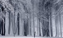 梦见别人老公有外遇