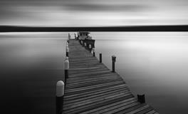 做梦梦见被蜜蜂蛰