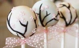 狮子座代表的棒棒糖