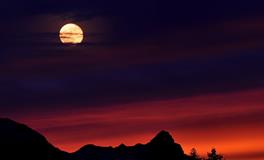 梦见读书是什么意思