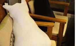 天蝎座的专属抱枕