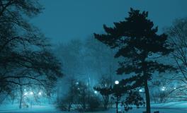 梦见过年放鞭炮