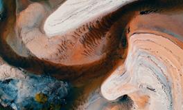 怀孕梦到黄鼠狼